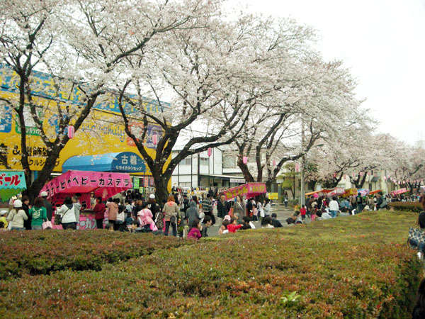 '09桜まつり