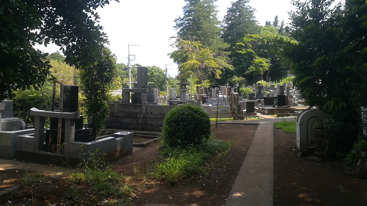 墓苑