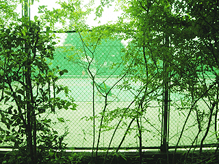 テニスコート (2)
