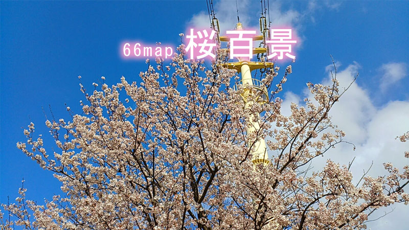 桜百景TOP