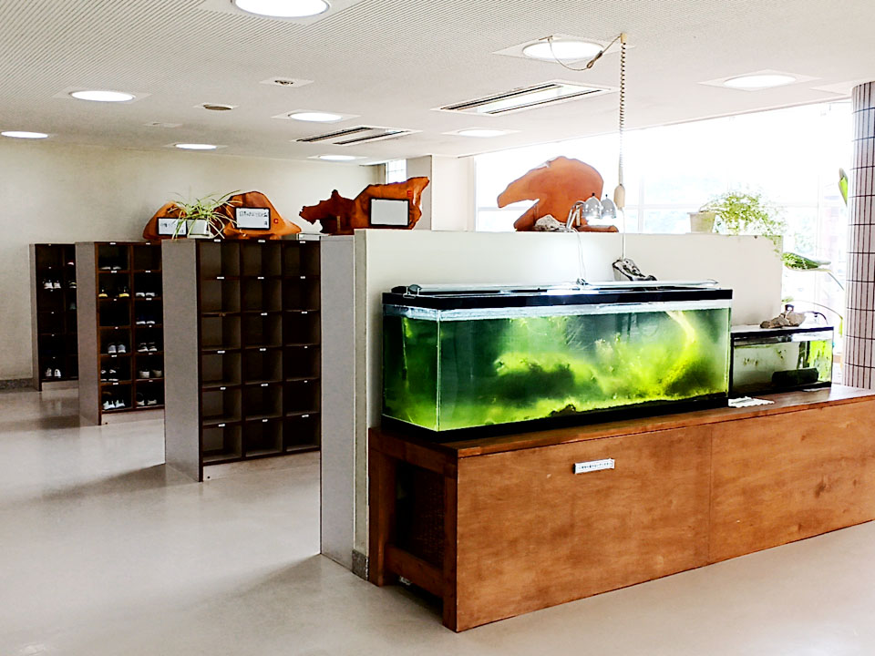 手賀の丘/プラネタリウム