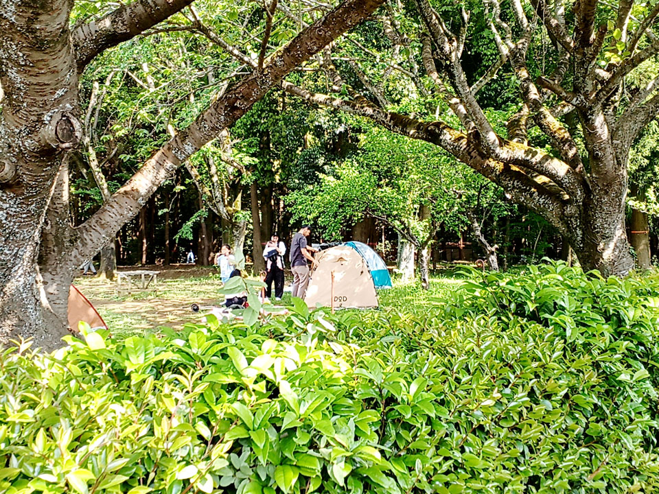 手賀の丘/プラネタリウム